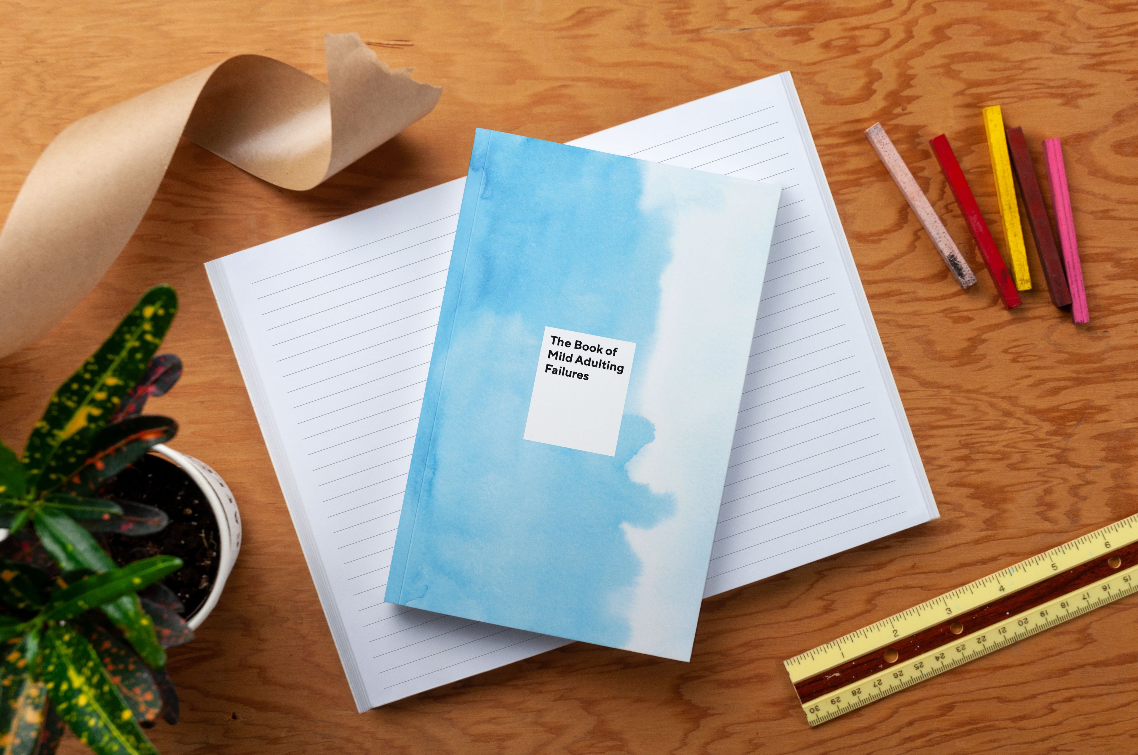 The Book of Mild Adulting Failures