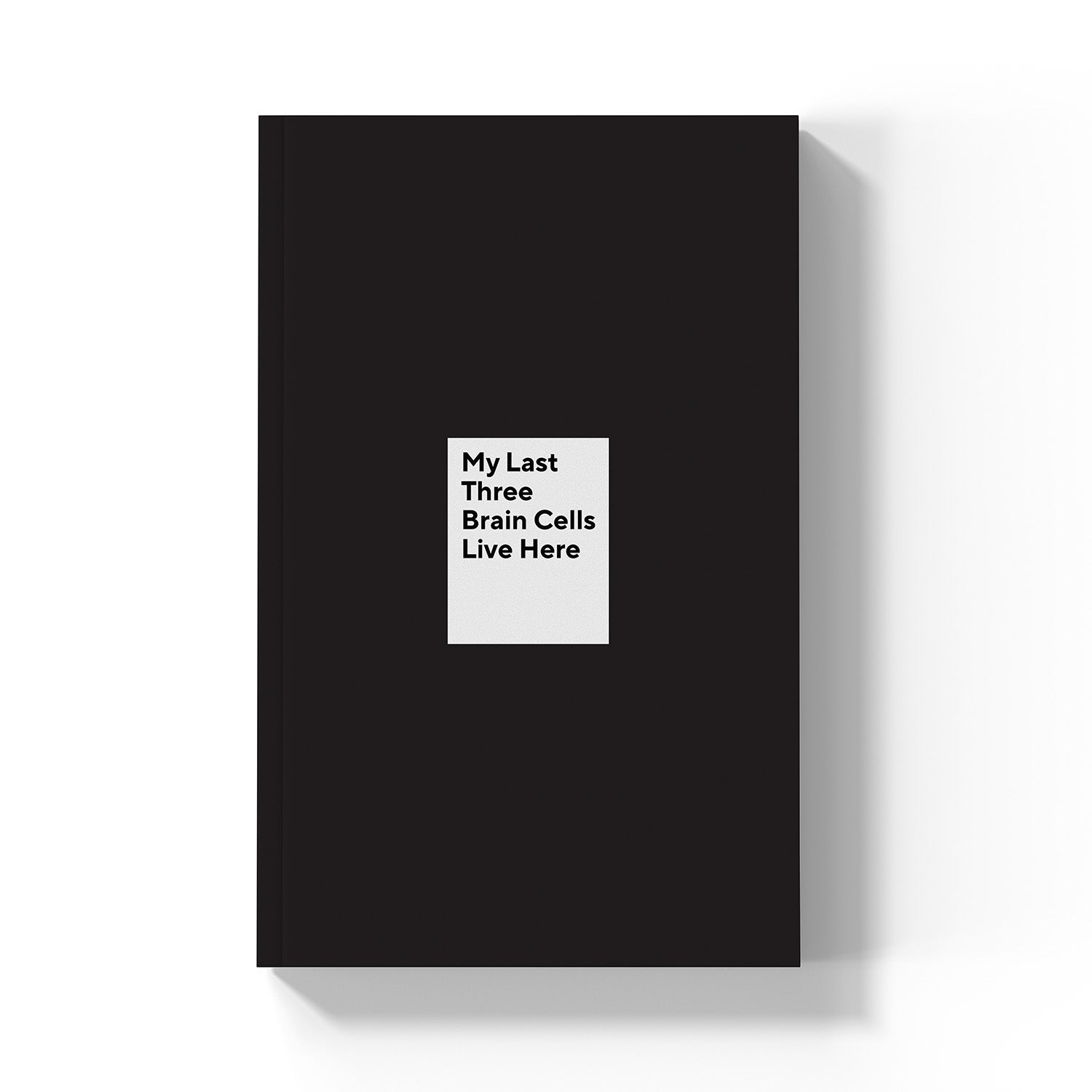 My Last Three Brain Cells Live Here