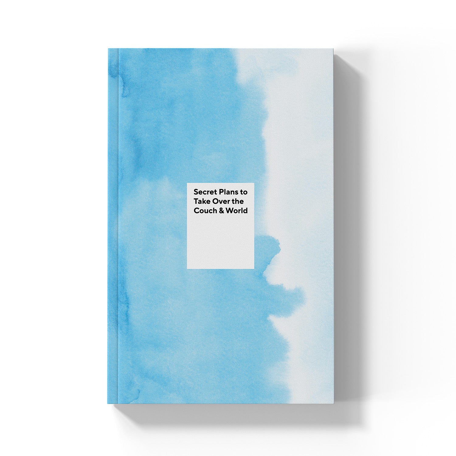 Secret Plans to Take Over the Couch & World